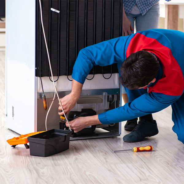 what are the common refrigerator repair services in Centreville MI